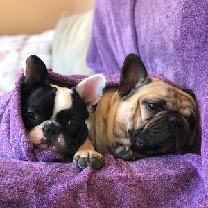 Meet your Posher, Carolyn